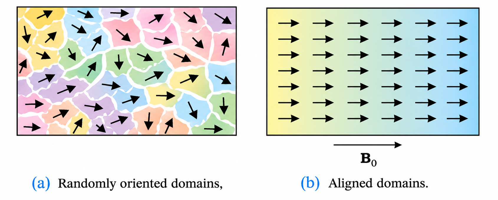Ferromagnetic Domain Alignment Dynamics: (a) Randomly oriented domains, (b) Aligned domains